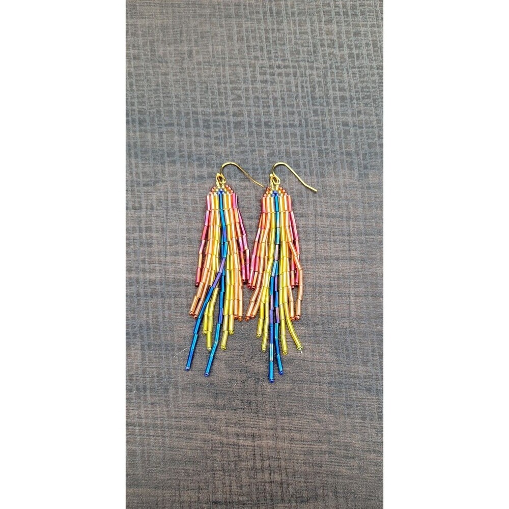 Rainbow Beaded Fringe Dangle Earrings